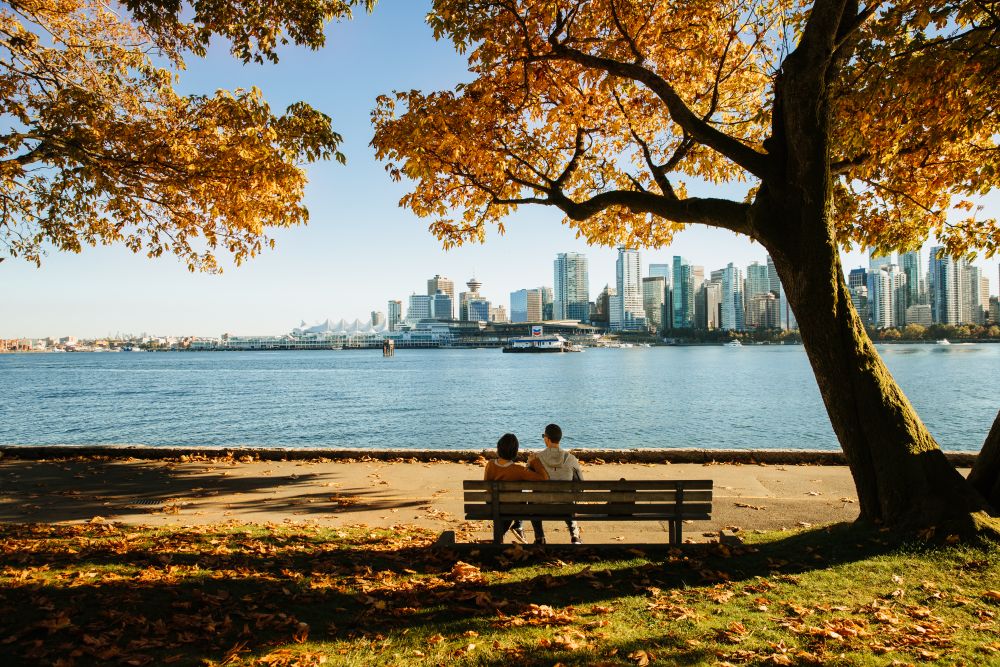 Custom Sightseeing Packages for Visitors